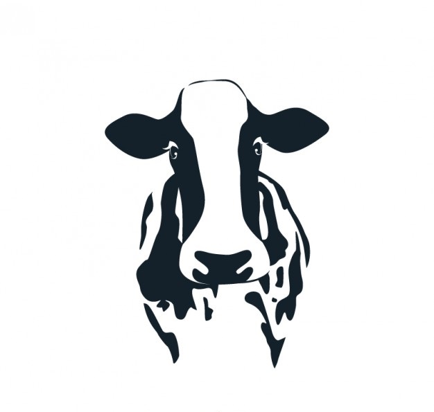 dieta bezglutenowa i bezmleczna vegamedica