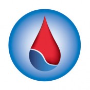 energy logo vegamedica