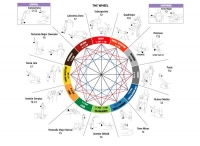 Kurs z Kinezjologii "Dotyku dla zdrowia" I stopnia